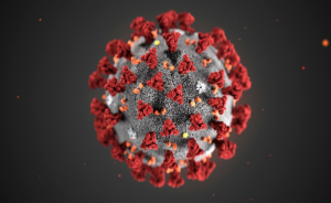 Read more about the article Understanding the COVID-19 Pandemic